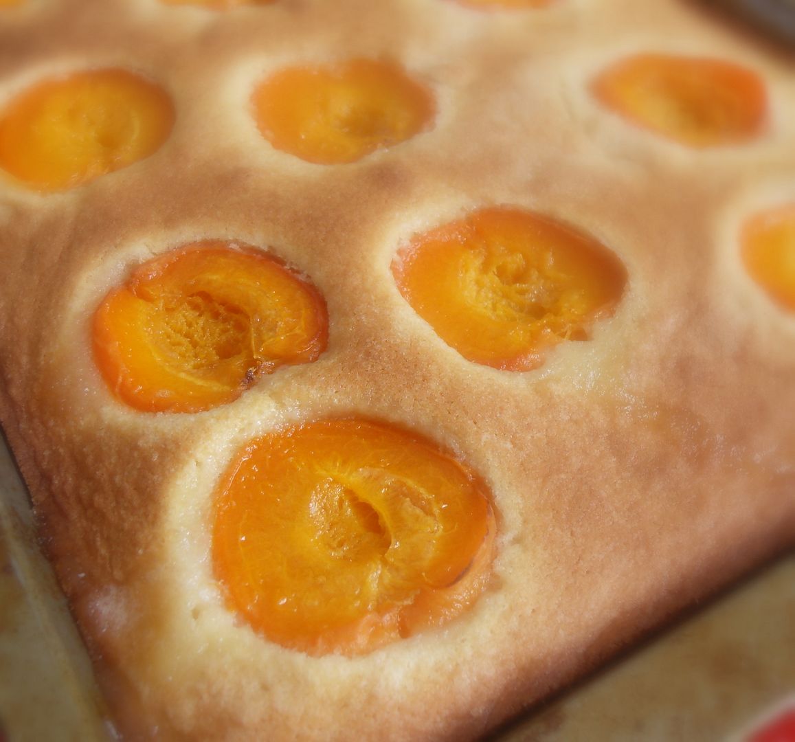 The English Kitchen Apricot Sheet Cake